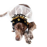 Happy New Year Dog Headband - A Gifted Solution
