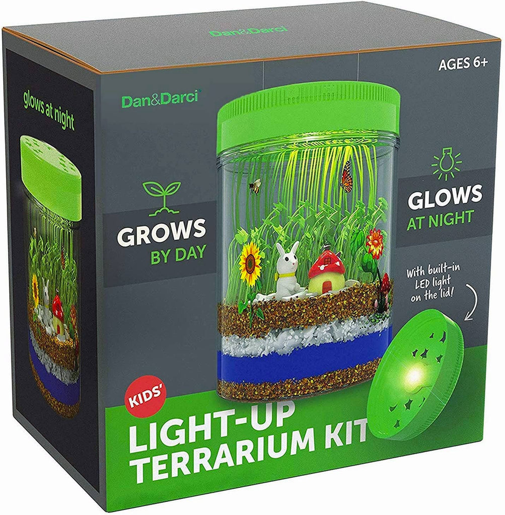 Nature Light-Up Terrarium Kit
