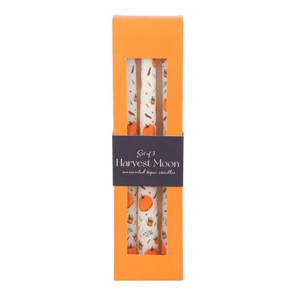 Pumpkin Design Taper Candles Set of 3