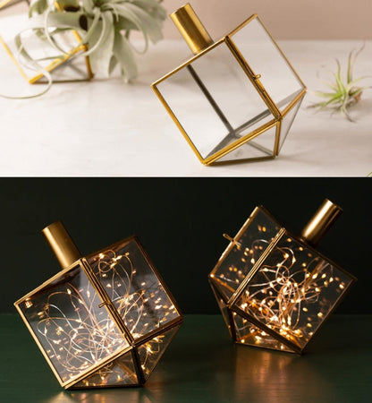 Mini Dreidel Terrariums Set of 2