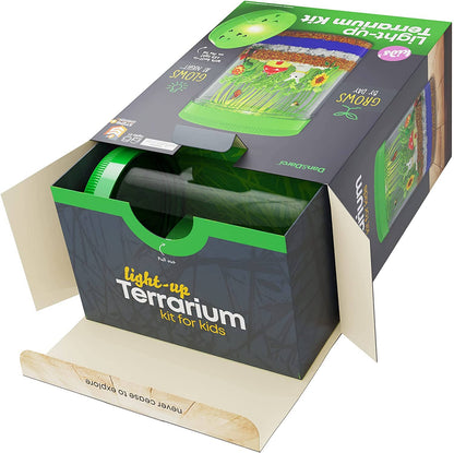 Nature Light-Up Terrarium Kit