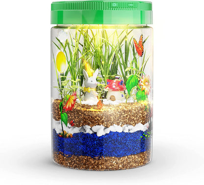 Nature Light-Up Terrarium Kit