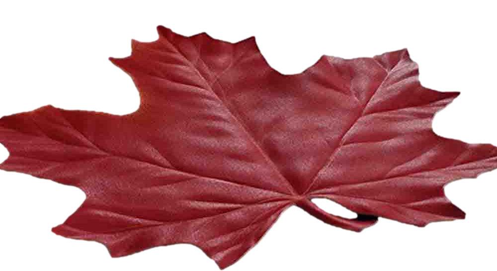 Cranbrook Red Maple Leaves Placemats Set of 4