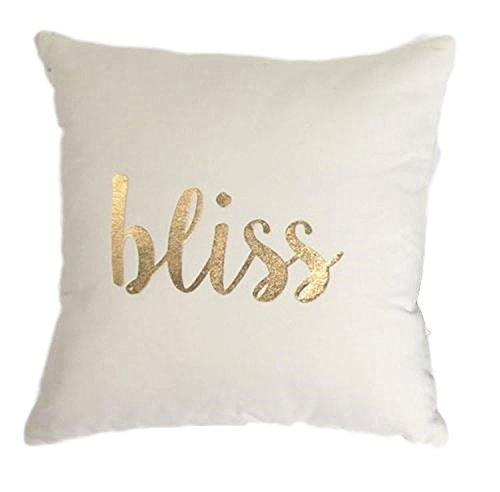 Bliss Velvet Throw Pillow