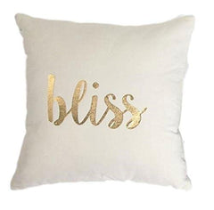 "Bliss" Velvet Throw Pillow